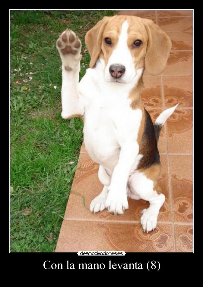 Con la mano levanta (8) -