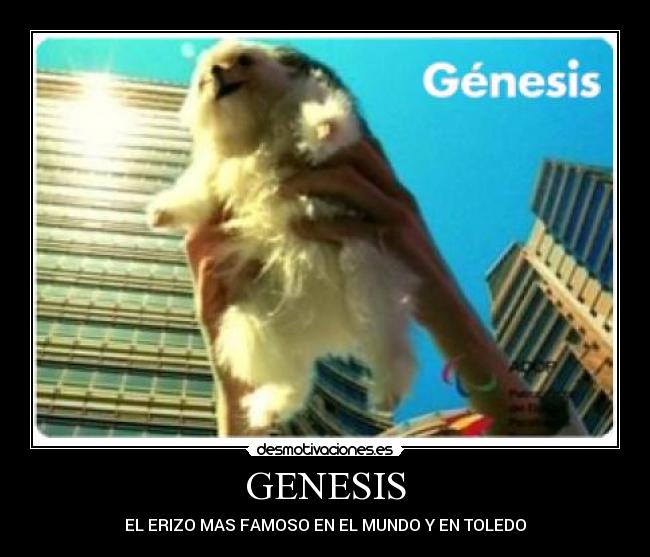 carteles maxter desmotivaciones