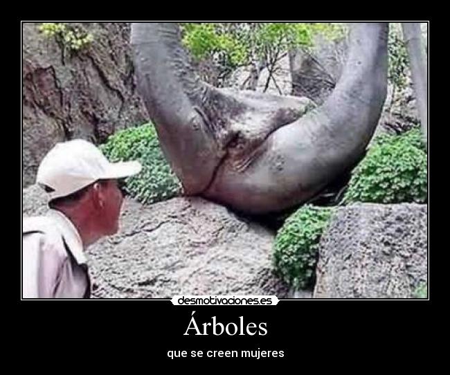 Árboles - que se creen mujeres
