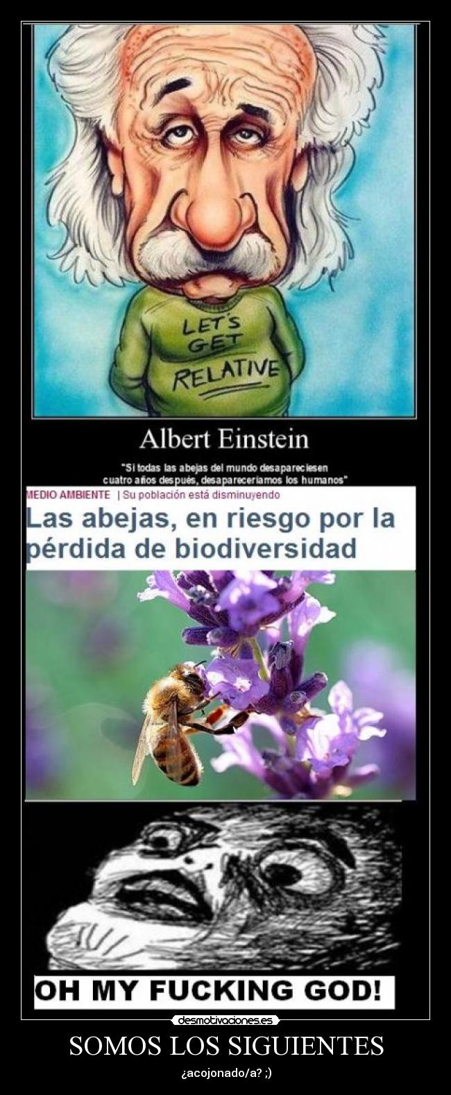 carteles muerte desmotivaciones