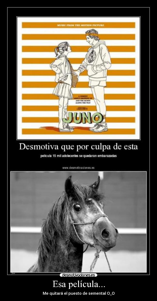 carteles semental pelicula juno desmotivaciones