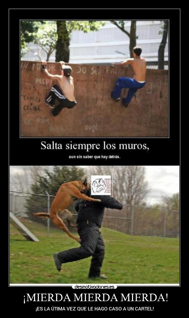 ¡MIERDA MIERDA MIERDA! - ¡ES LA ÚTIMA VEZ QUE LE HAGO CASO A UN CARTEL!