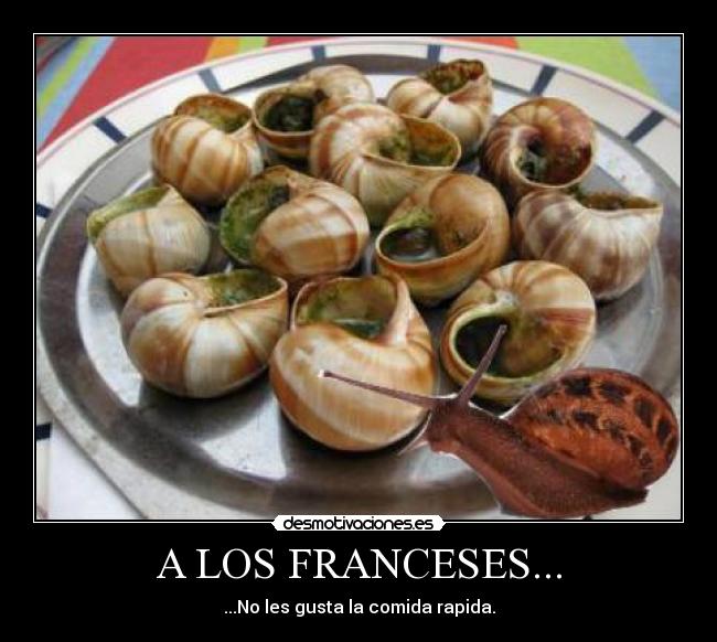 A LOS FRANCESES... - ...No les gusta la comida rapida.