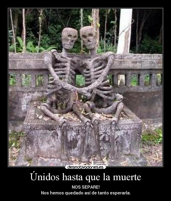 carteles muerte jug0npetercriss95ciuheavy-69penagoldenrobertiyoantoniogachero desmotivaciones