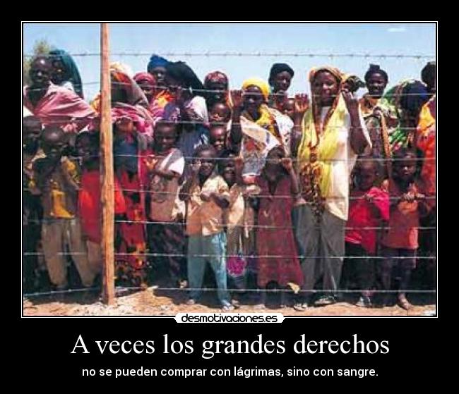 carteles dgngngfn desmotivaciones