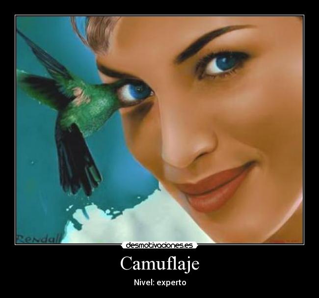 Camuflaje - Nivel: experto
