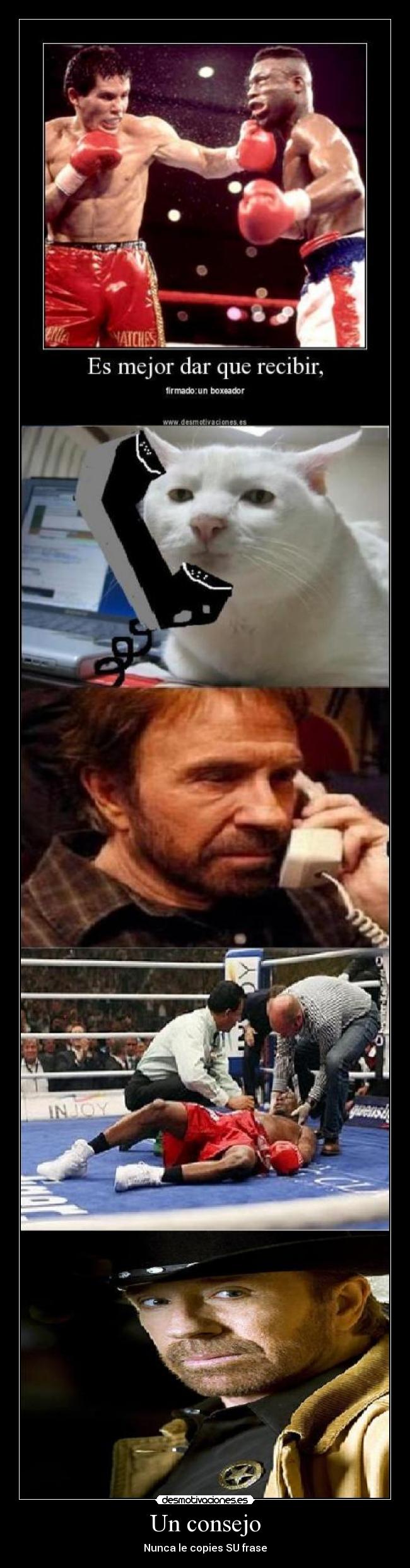Un consejo - Nunca le copies SU frase