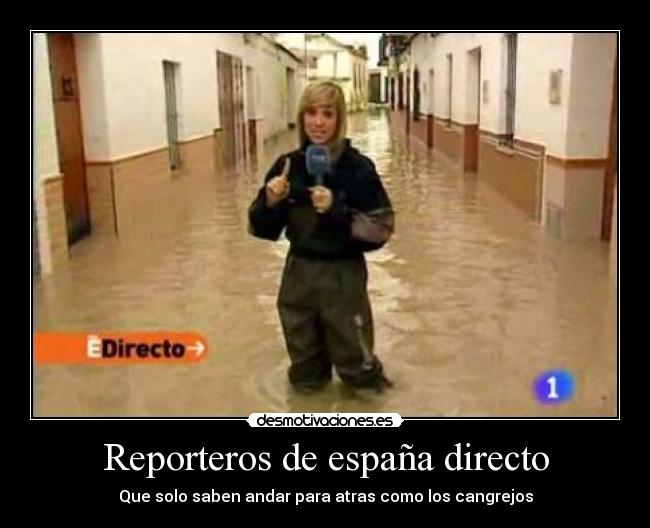 Reporteros de españa directo - Que solo saben andar para atras como los cangrejos