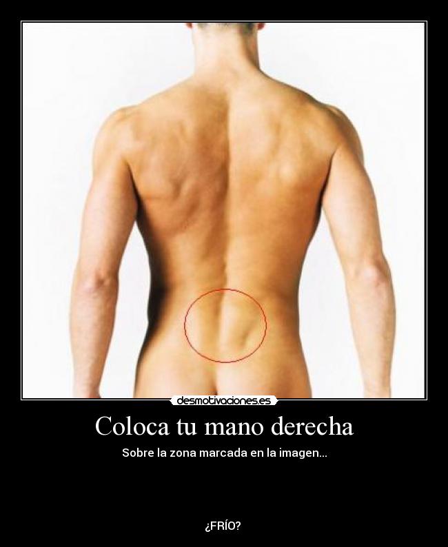 carteles picoplas desmotivaciones