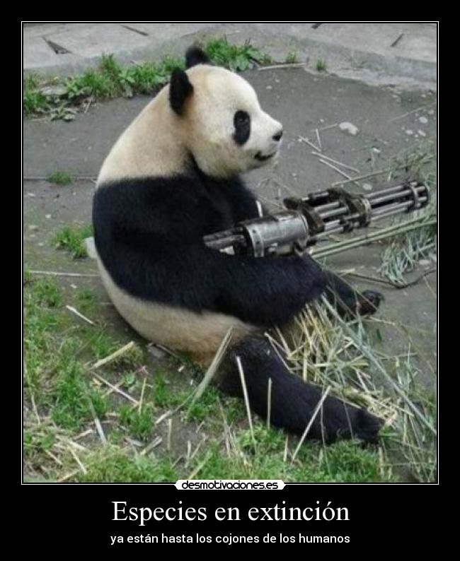 Especies en extinción - ya están hasta los cojones de los humanos