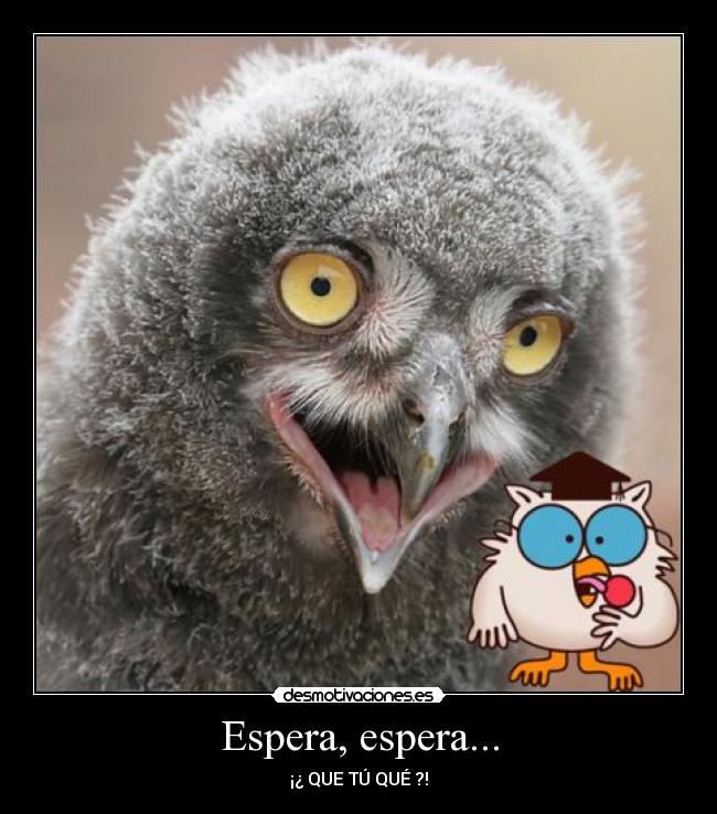 Espera, espera... - ¡¿ QUE TÚ QUÉ ?!