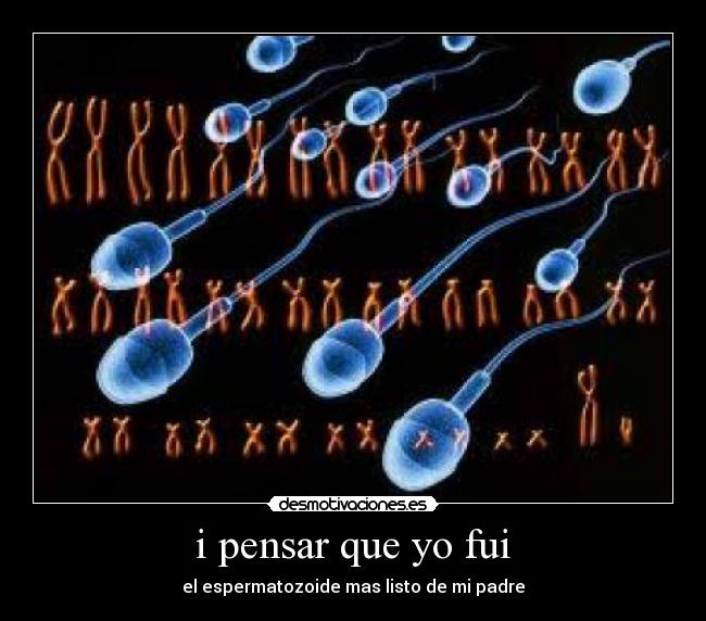 carteles donaire98 desmotivaciones