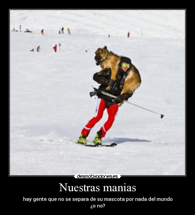 carteles kani1929 desmotivaciones