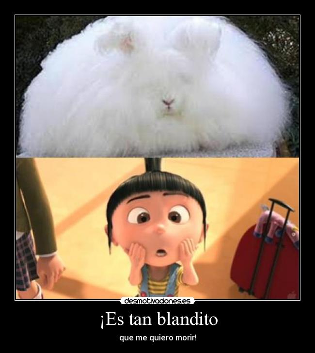 ¡Es tan blandito -