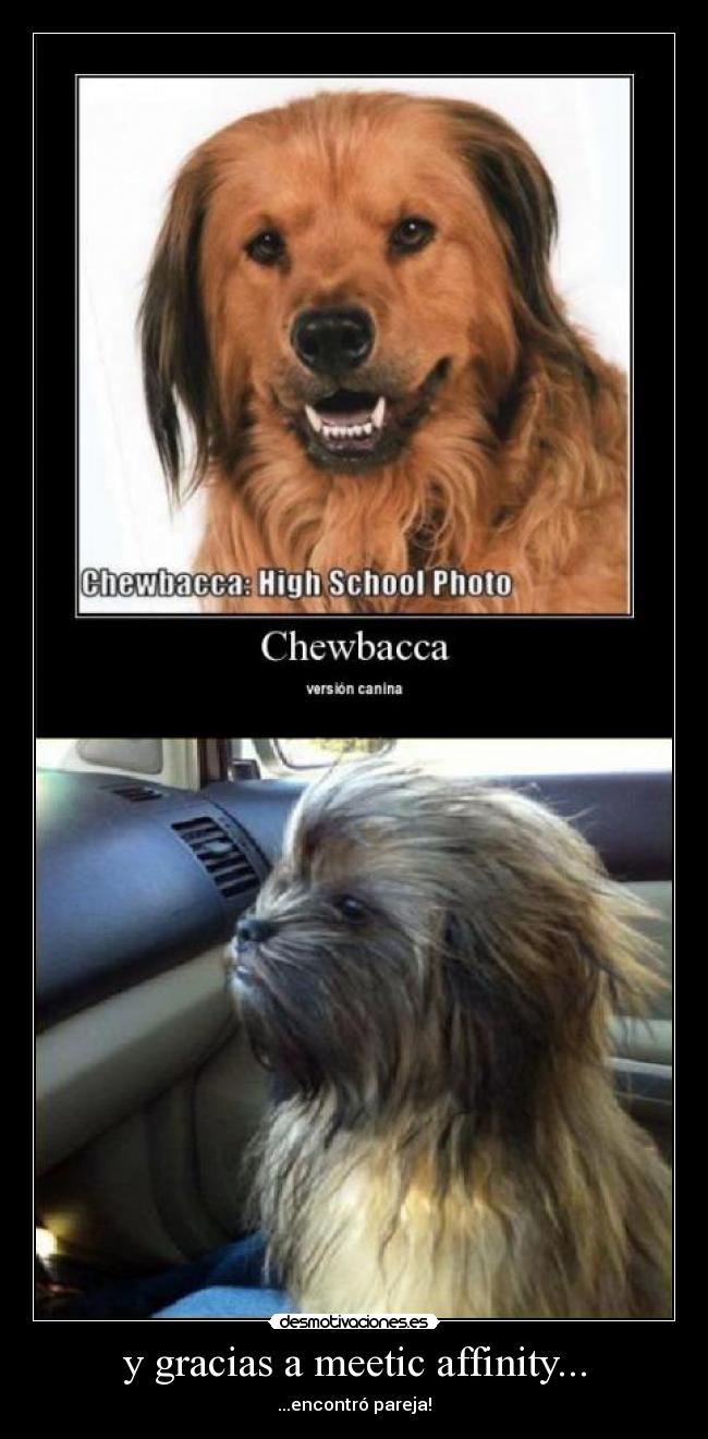 y gracias a meetic affinity... - ...encontró pareja!