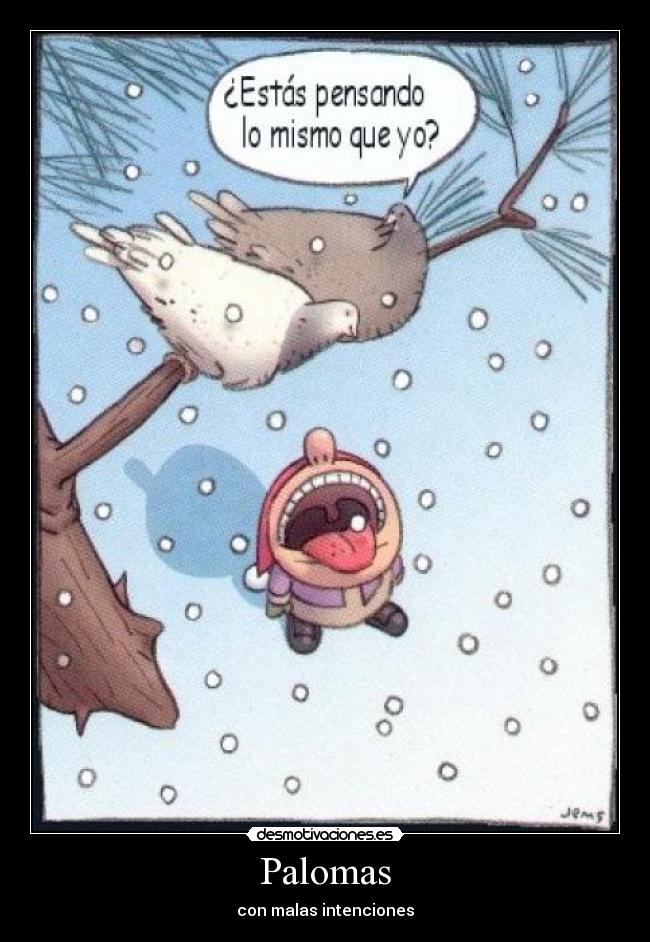 Palomas -