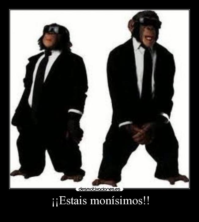 carteles estais monisimos desmotivaciones
