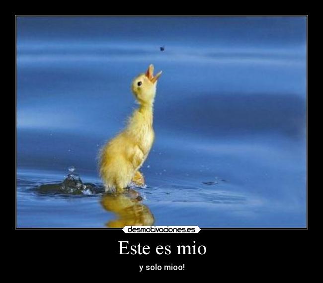 Este es mio - 
