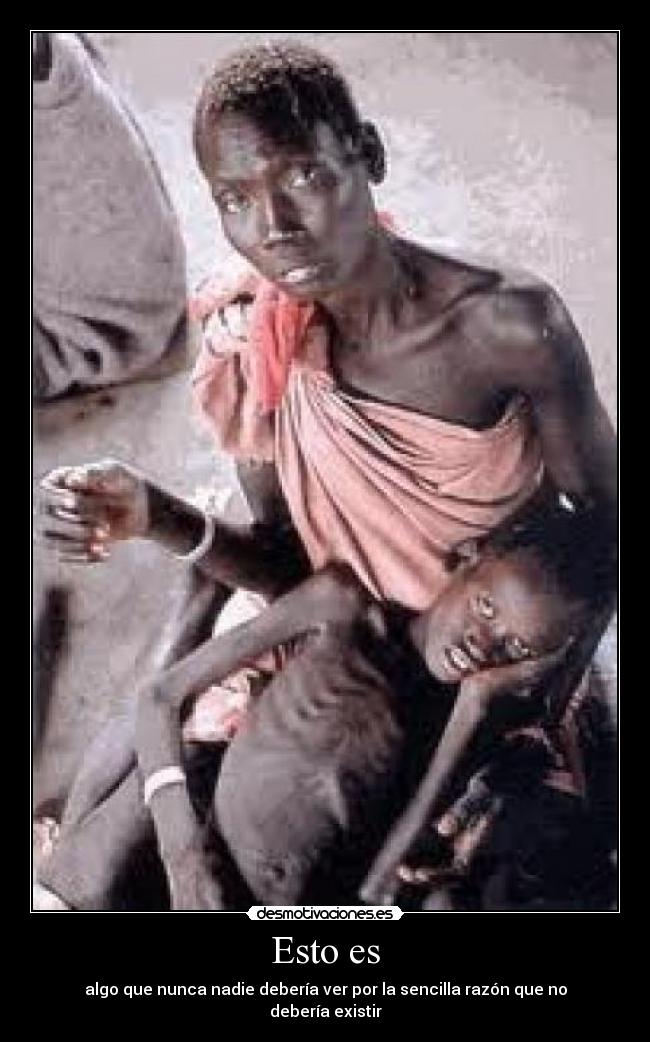 carteles esto desmotivaciones