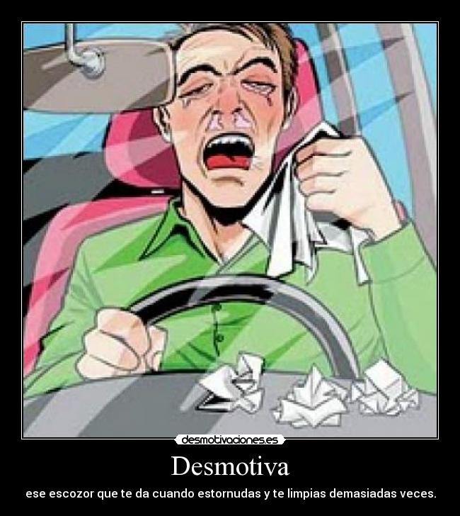 Desmotiva - ese escozor que te da cuando estornudas y te limpias demasiadas veces.