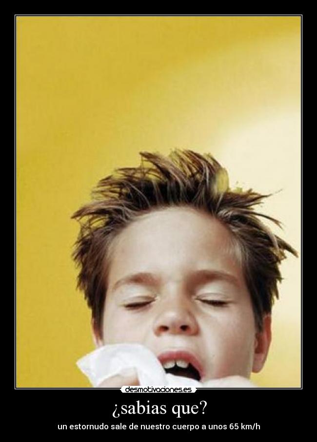 ¿sabias que? - un estornudo sale de nuestro cuerpo a unos 65 km/h