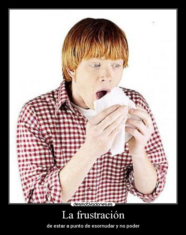 La frustración - de estar a punto de esornudar y no poder
