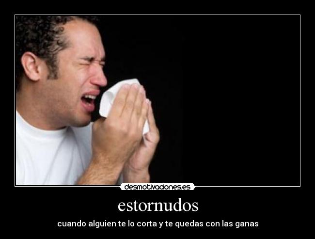 carteles herculana17 desmotivaciones