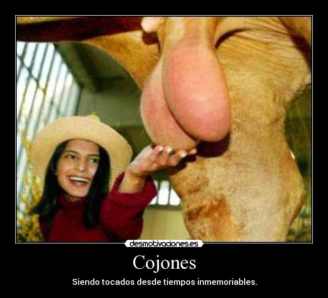 Cojones - Siendo tocados desde tiempos inmemoriables.
