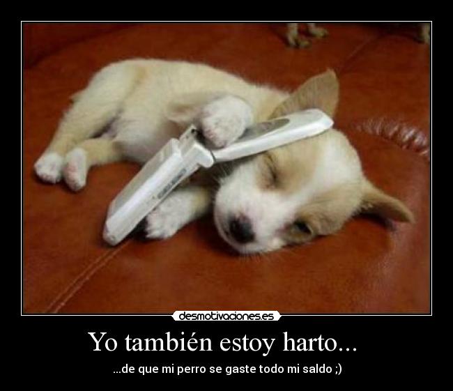 Yo también estoy harto... -