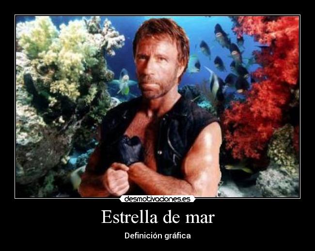 Estrella de mar - Definición gráfica