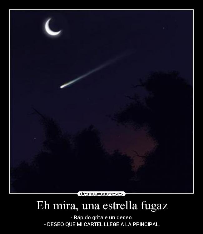 Eh mira, una estrella fugaz - 