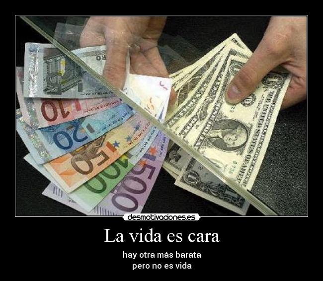 La vida es cara - hay otra más barata
pero no es vida