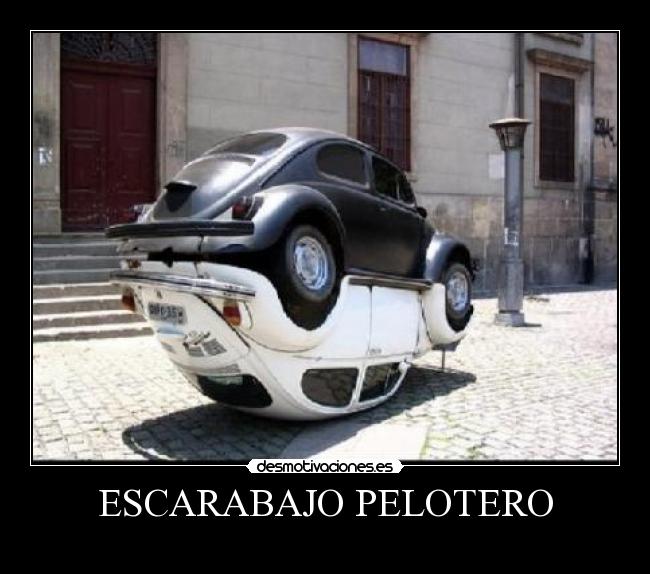 ESCARABAJO PELOTERO -