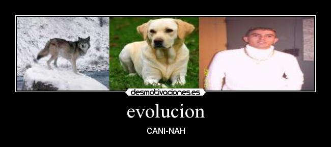 evolucion - CANI-NAH