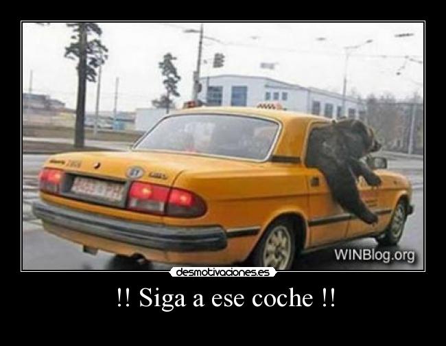 !! Siga a ese coche !! - 