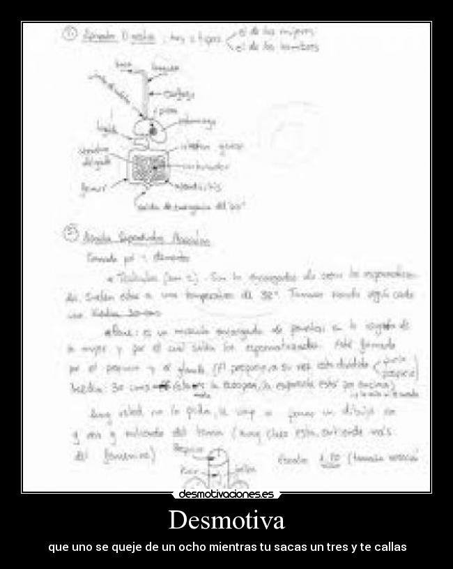 Desmotiva - que uno se queje de un ocho mientras tu sacas un tres y te callas