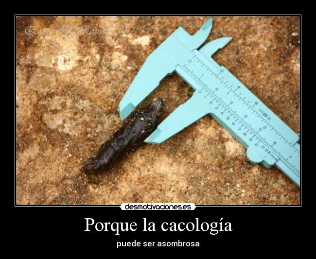 Porque la cacología -