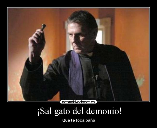 ¡Sal gato del demonio! -