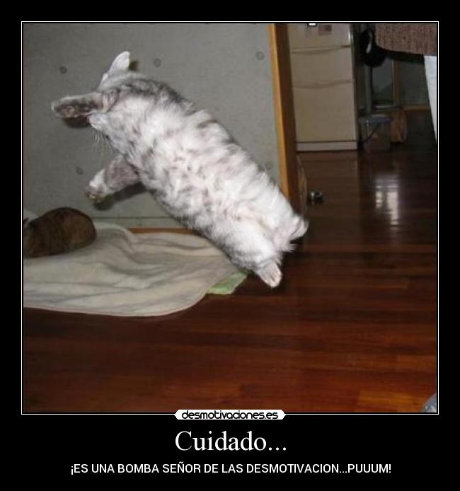 Cuidado... - ¡ES UNA BOMBA SEÑOR DE LAS DESMOTIVACION...PUUUM!