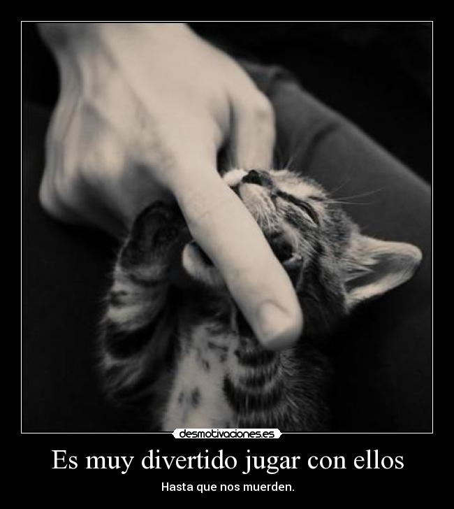 carteles gfger desmotivaciones