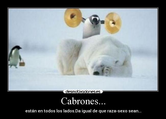 Cabrones... - están en todos los lados.Da igual de que raza-sexo sean...