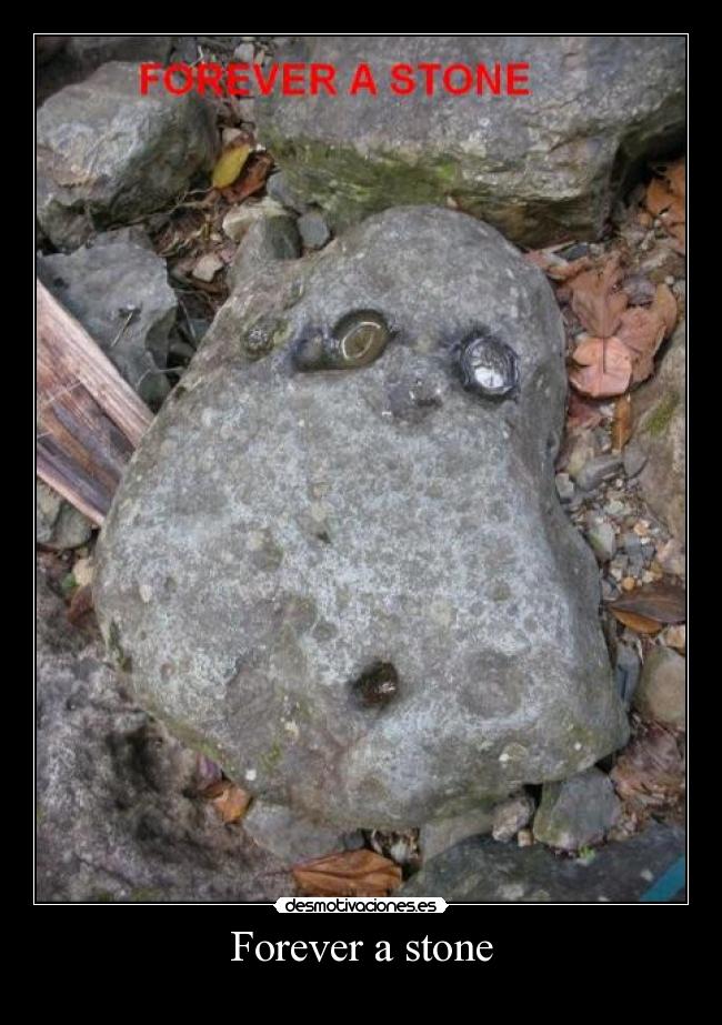 Forever a stone -
