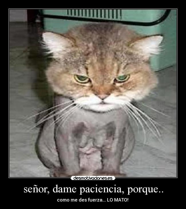 señor, dame paciencia, porque.. -