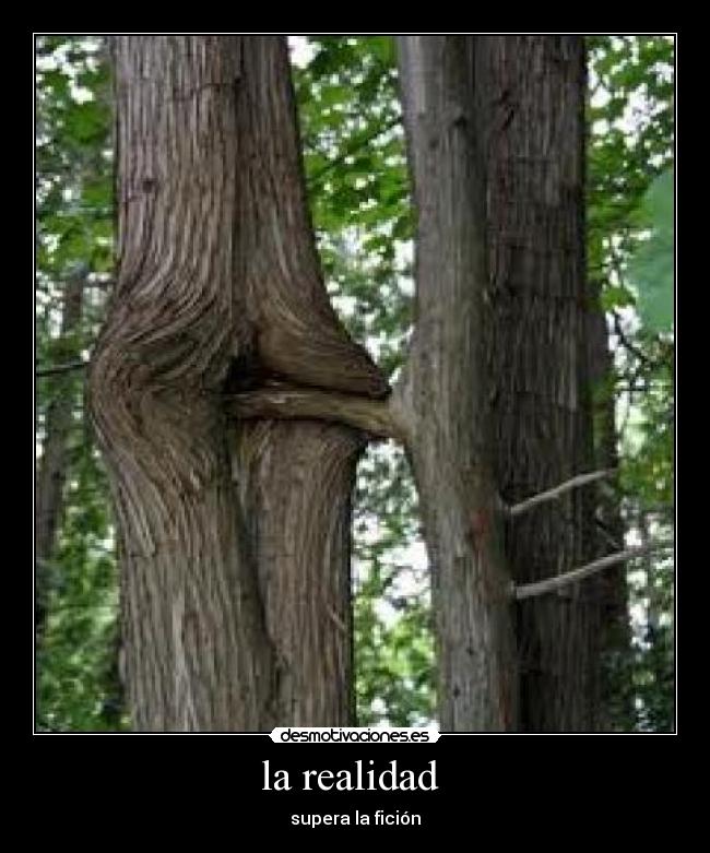 la realidad - supera la fición