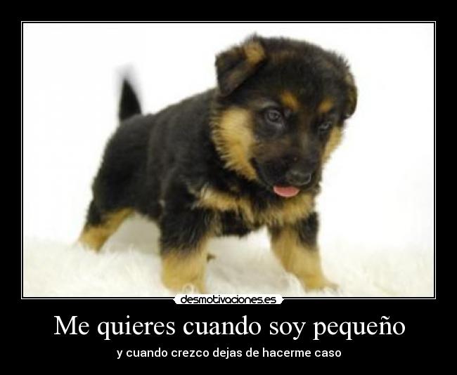 Me quieres cuando soy pequeño - y cuando crezco dejas de hacerme caso