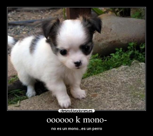 oooooo k mono- - 