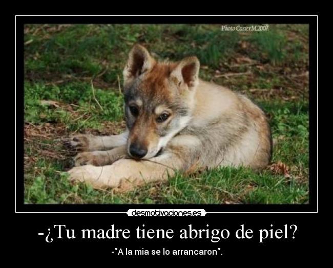 -¿Tu madre tiene abrigo de piel? - 