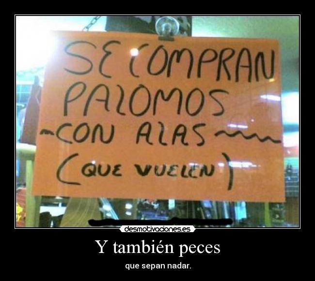 Y también peces - 