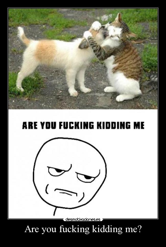 Are you fucking kidding me? -