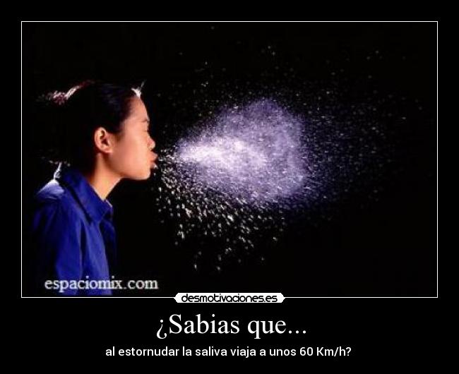 ¿Sabias que... - 